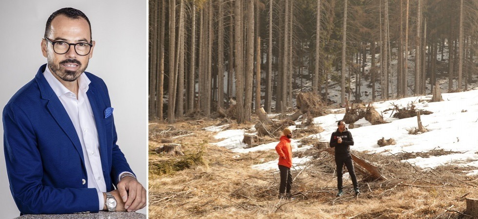Würth finanzia la rinascita delle foreste della Val di Fiemme devastate dalla tempesta Vaia